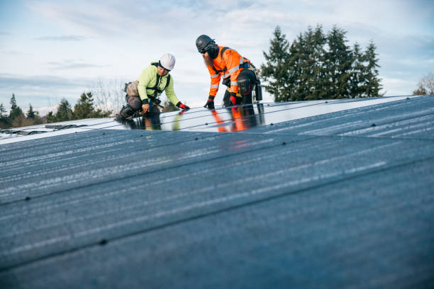 Reliable Metal Roofing contractor in Lochloosa, FL by Roof Repair Smedway